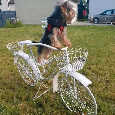 Apartment Dacha Niederwurschnitz