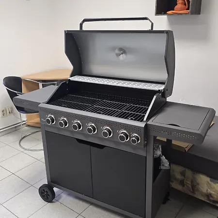 Dacha アパート Niederwurschnitz