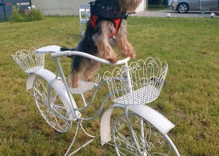 アパート Dacha Niederwurschnitz