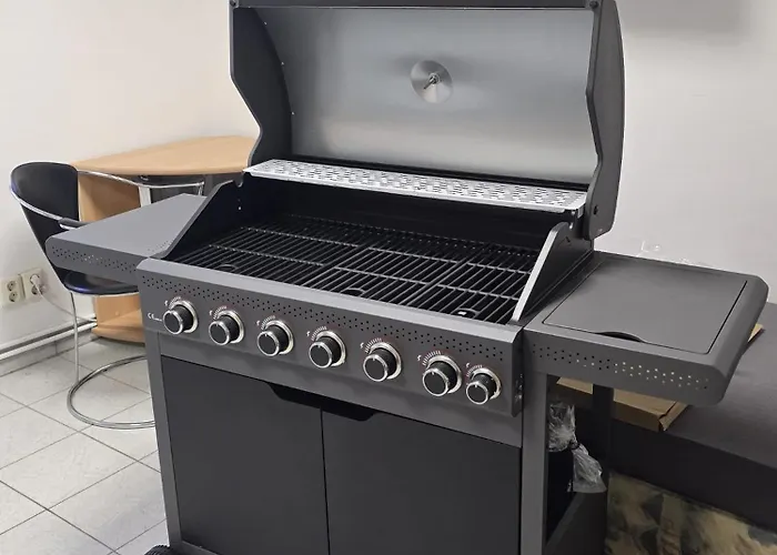 Dacha アパート Niederwurschnitz